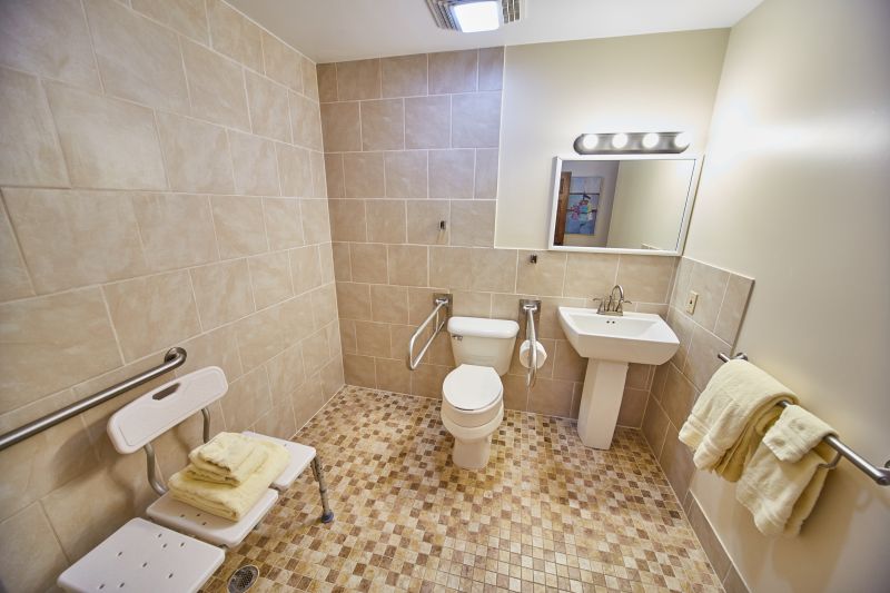 Best Bathroom Accessibility Contractors in Albert Lea, MN